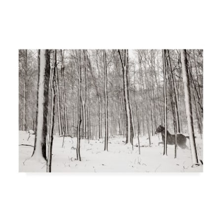 James Mcloughlin 'A Snowy Walk Ii' Canvas Art,30x47
